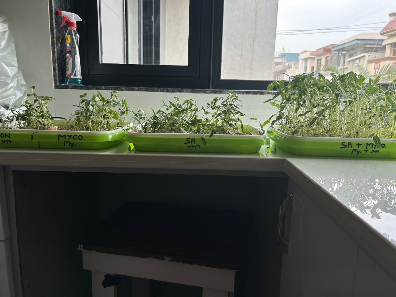 Genius Laboratories Mycorrhiza research 9